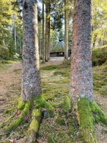 Hyttelaven Pa Furuholmen サルプスボルグ エクステリア 写真